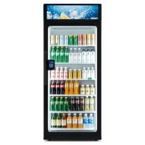 grab n go smart medium size cooler model vt500
